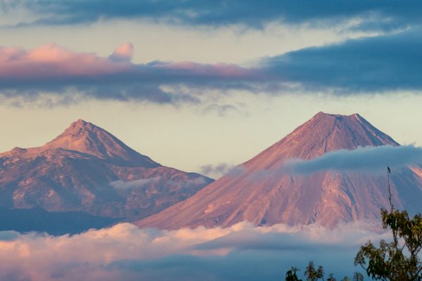 Aborto Seguro en Colima